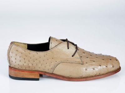 Classic 2 – Hole Lace-Up-Ostrich